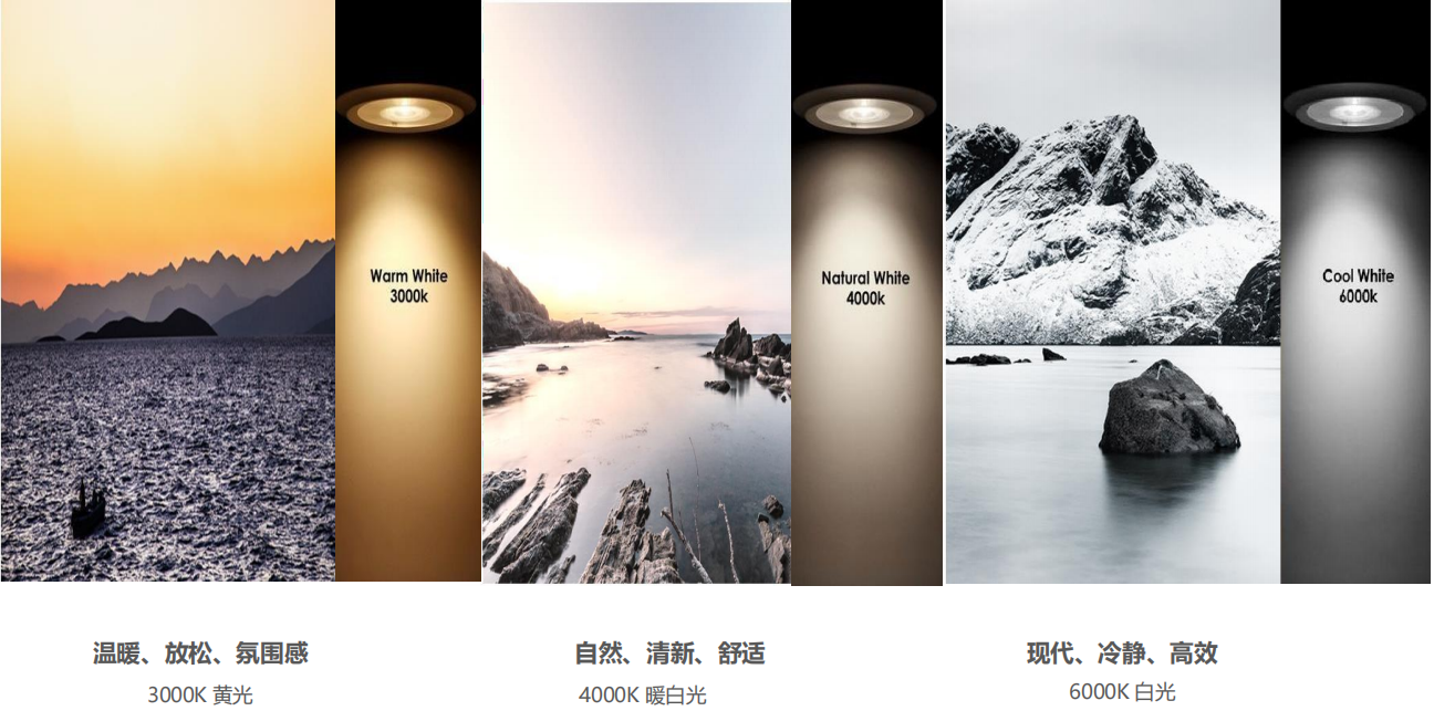 【設(shè)計(jì)案例】普照國(guó)康醫(yī)藥辦公室項(xiàng)目概念設(shè)計(jì)——以空間敘事，筑品牌基因(圖26)