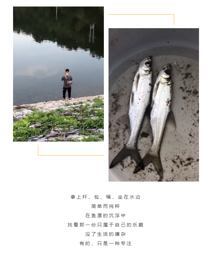 秋天了，來(lái)一場(chǎng)成年人的秋游吧(圖5)