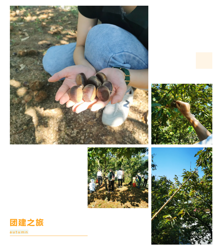 秋天了，來(lái)一場(chǎng)成年人的秋游吧(圖6)
